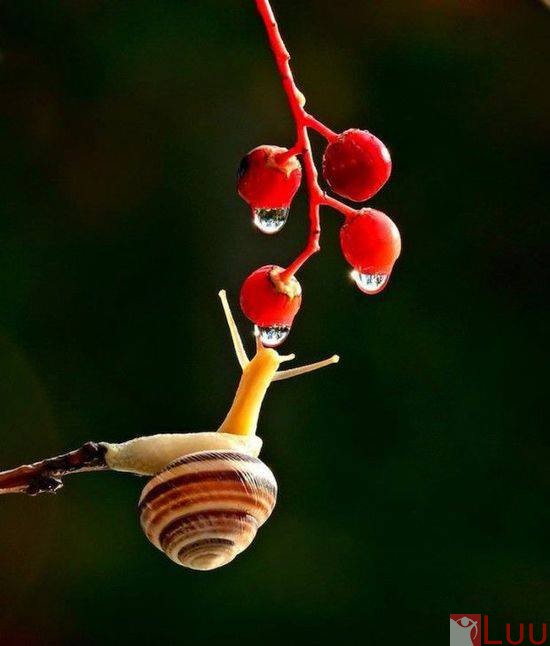 10390255_830180343659121_6218137201817698173_n1