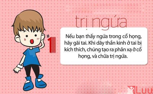 11811296_809202705863610_3905905923377954660_n