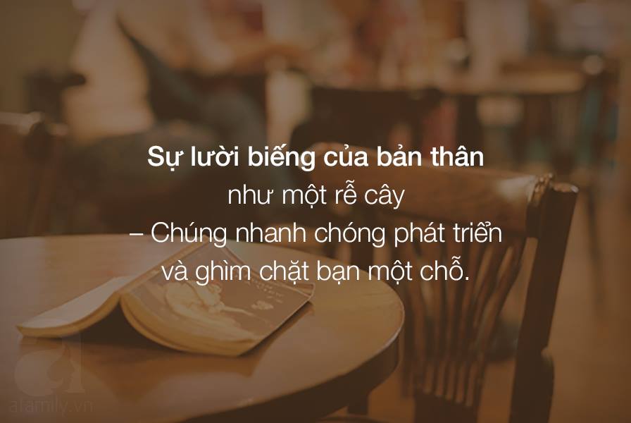 12071783_10203928246526633_1226917886_n-cd1e5