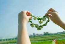 Câu chuyện về vết sẹo.