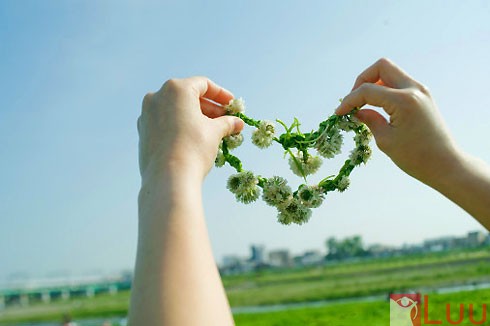 12777911431352053974_574_0