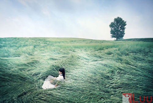 1290505018-1277431398-nguoi-chong-toi-yeu1