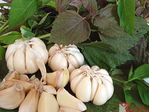 12_11_1321827574_85_1321775080-toi2