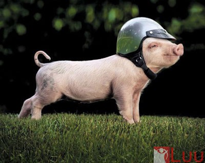 1340277734_090920142608-578-572