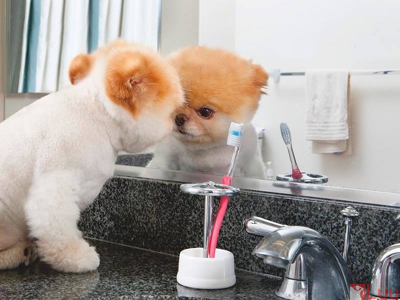 13437476973_377653f321_o