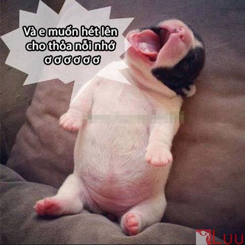 14580_1421923741391613_486348087_n