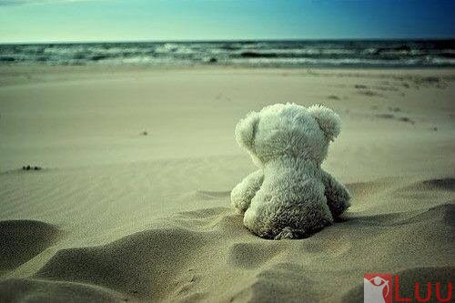 1620794_654706534582408_6624144229520405704_n