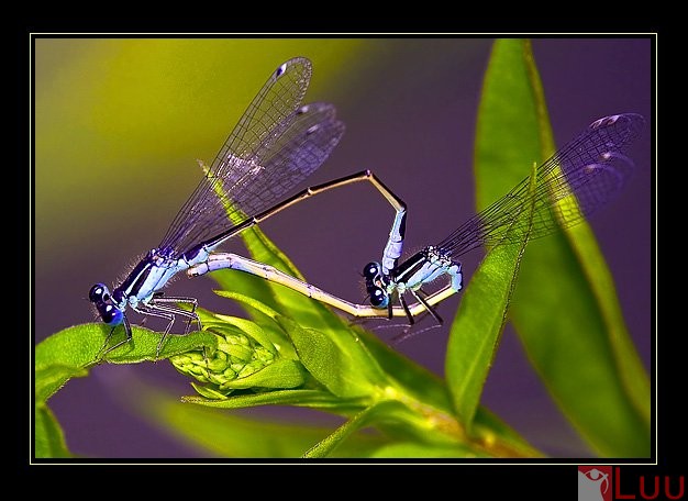 182232_197235653636128_7961382_n