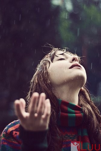 196164_202410683118625_810270_n