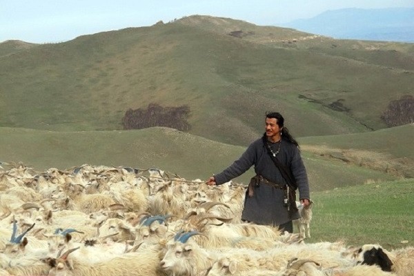 20150427140756278-600x400