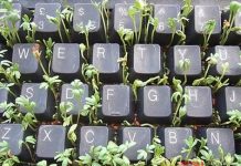 Ý nghĩa bàn phím máy tính