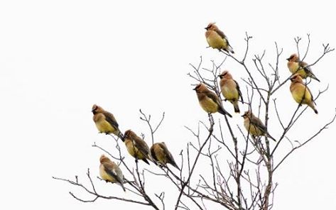 20320_10206814869227217_7247391604868602773_n