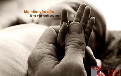 480815_487689381257419_717020661_n