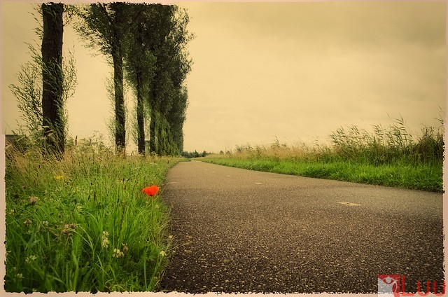 7699450400_4ff29368b7_z