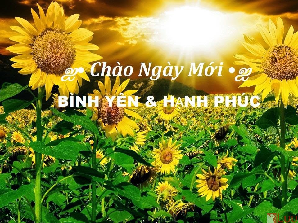 an-sang-nhung-gi-tot-cho-suc-khoe