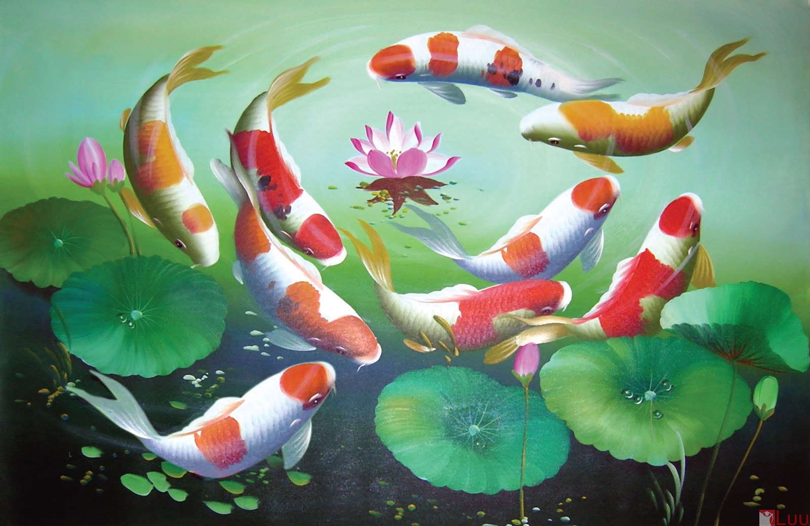 ban-co-la-nguoi-may-man