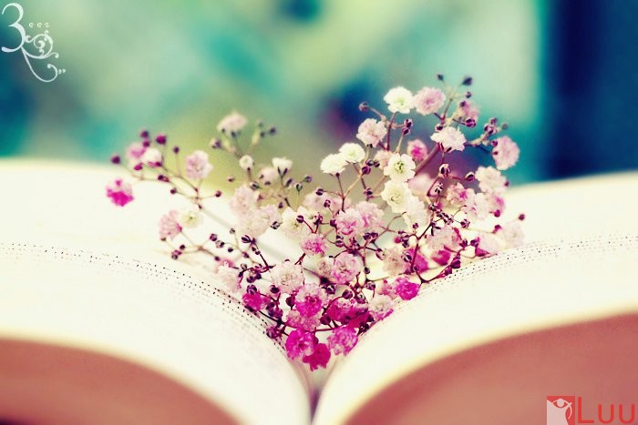 bat-mi-5-cung-hoang-dao-se-hanh-phuc-trong-nam-moi-2