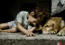 CHUYỆN CẬU BÉ VÀ CHÚ CÚN CON