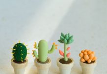 5 nguyên tắc cơ bản trong ăn uống phòng ngừa ung thư