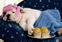 So bì thu nhập với người khác khiến bạn không hạnh phúc