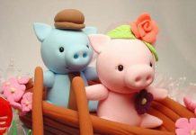 Chuyện tình vợ chồng nhà lợn!