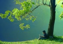 Cậu bé và cây cổ thụ, sau khi đọc xong, trong lòng cứ mãi chua xót không thôi………