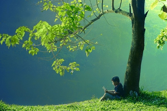 doc-cham-hieu-sau-bb-baaacu4MXc