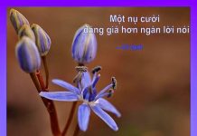 5 câu chuyện cực ngắn giúp ta luôn mỉm cười!