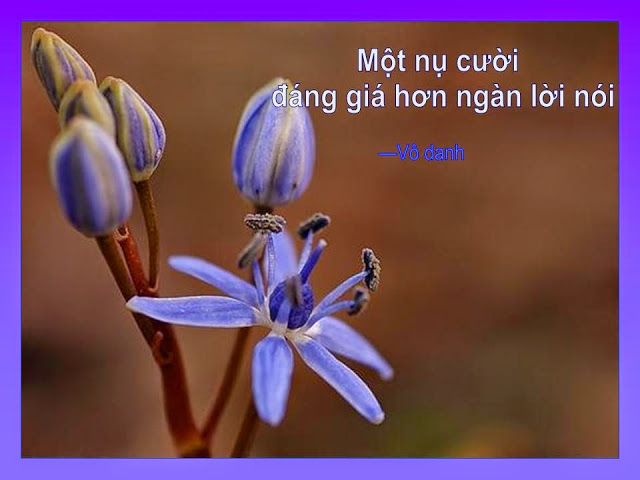 hay-vui-song