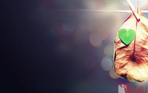 heart11-4502-1390289308