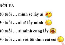 Số 6 nha!