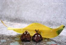 9 thói quen “đầu độc” cuộc đời bạn