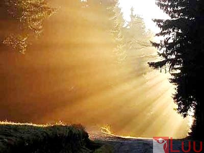 khon-ngoan-qua-cung-khong-tot