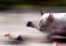 Chuyện ngắn vui nhưng lại là chân lý sống.