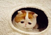Sức mạnh của sự lo lắng