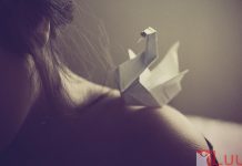 Người vợ chung thủy nhất!