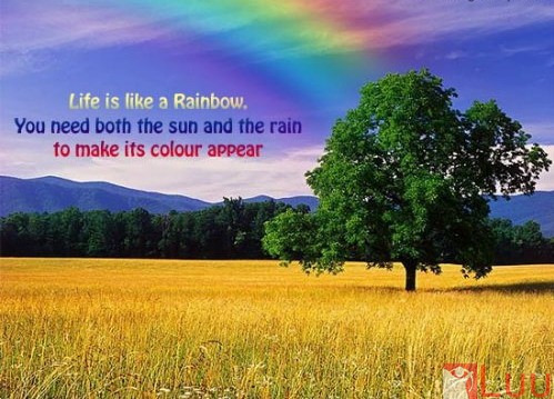 nhung-cau-danh-ngon-hay-ve-cuoc-song