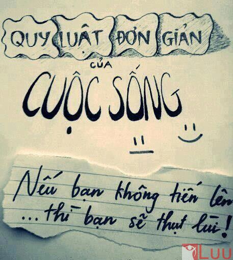 quy-luat-cuoc-song