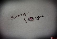 Xin lỗi… Anh yêu em…!