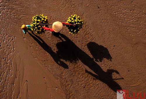 tet-doan-vien-sum-vay-ben-bep-lua