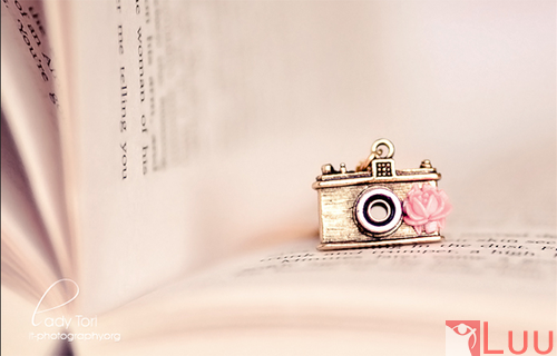 tumblr_mauvpwY9Je1rw2c6fo1_500