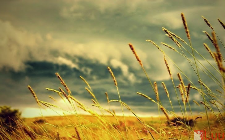 vintg-how-about-some-ye-olde-vintage-1680x1050-wallpaper_www.wallpaperfo.com_37