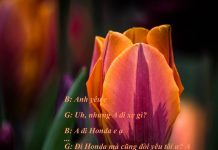 Hụt rồi..