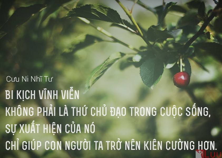 xau-khong-phai-co-toi