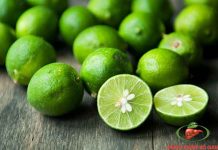 6 Mẹo uống bia không say, tăng 5 lần tửu lượng cho bất kì ai