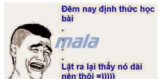 1001 Stt vui nhộn hài hước ngắn gọn hay nhất – Những câu nói hay chém gió mỏi tay trên facebook