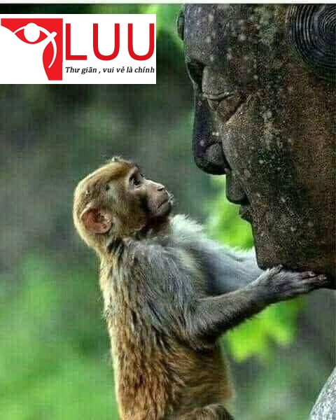 chỉ-số-tâm-linh